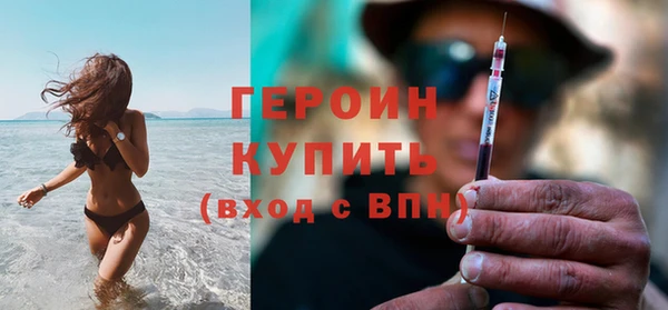 гидра Инта