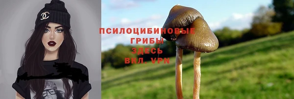 Альфа ПВП Иннополис