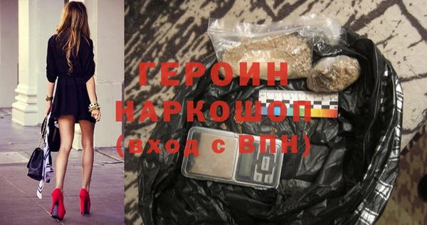 гидра Инта