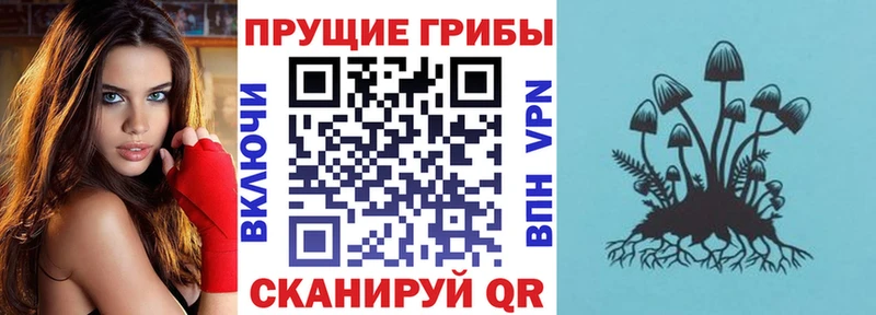 Псилоцибиновые грибы прущие грибы  купить наркотик  Кириши 